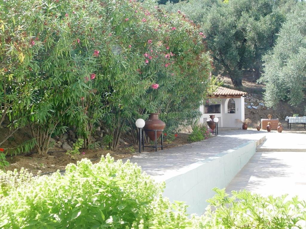 Villa Maro Skopelos Eksteriør billede