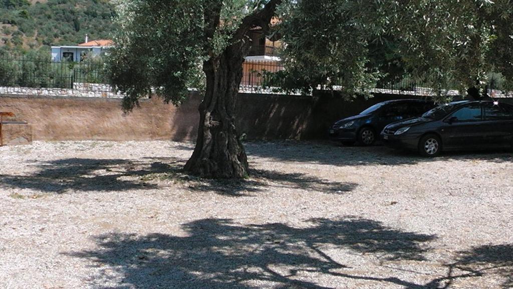 Villa Maro Skopelos Eksteriør billede